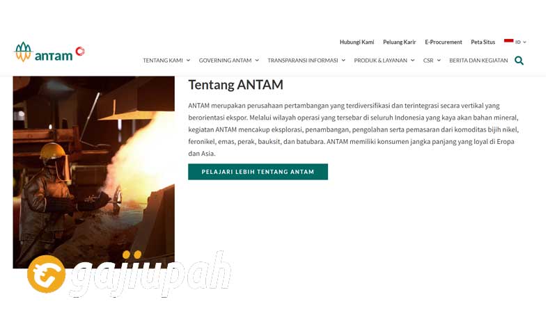 Gaji Karyawan PT Aneka Tambang (Persero) Tbk Semua Jabatan Terbaru