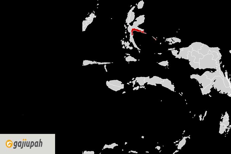 Gaji UMK Halmahera Tengah